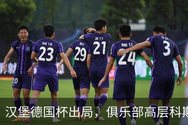 汉堡德国杯出局，俱乐部高层科斯塔：我们被漏判点球