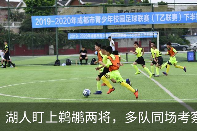 湖人盯上鹈鹕两将，多队同场考察墨菲与琼斯