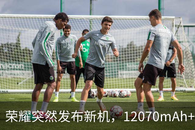 荣耀突然发布新机，12070mAh+5920Hz+防水大满贯，国补后仅2251元