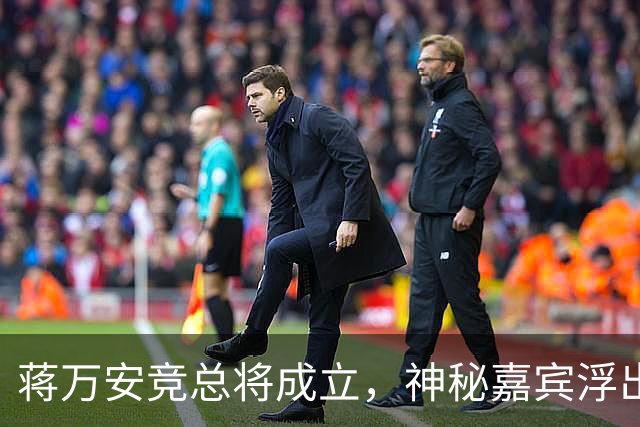 蒋万安竞总将成立，神秘嘉宾浮出水面？赵少康又专访绿营候选人
